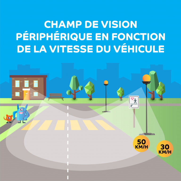 Le champ de vision périphérique varie en fonction de la vitesse du véhicule, vous pourriez ne pas voir des piétons engagés vers le passage piétons si vous roulez à 50 km/h contrairement à 30 km/h